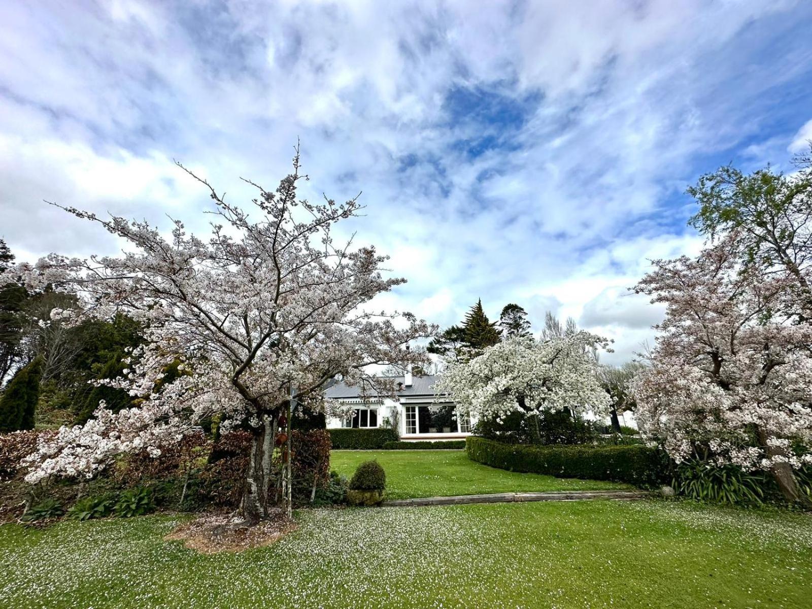 Bed and Breakfast Whiteacres Invercargill Zewnętrze zdjęcie