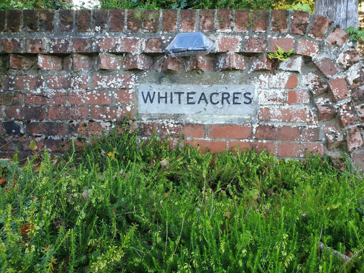 Bed and Breakfast Whiteacres Invercargill Zewnętrze zdjęcie